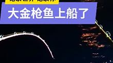 深海勘探浮台爆钓金枪鱼回来啦，整体钓获一般，主要是钓鱼船有点多啊，大船和小船差不多有30条船，鱼群都