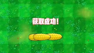 当玉米加农炮停留在空中，会怎么样？