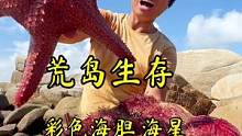 #荒岛生存 #大海的馈赠 七彩海胆你们吃过吗？@抖音小助手
