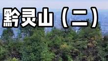 这里是它们的江湖，黔灵山，市区内的4A #旅行推荐官 #旅拍 #贵州 