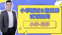 【21下教资面试】小学面试优秀面试试讲案列/6篇小学科学范讲