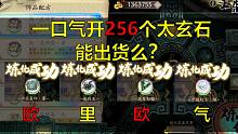 【天地劫】一口气开256个太玄石能给什么？……这一次居然感动的想哭！我给紫龙一键三连！