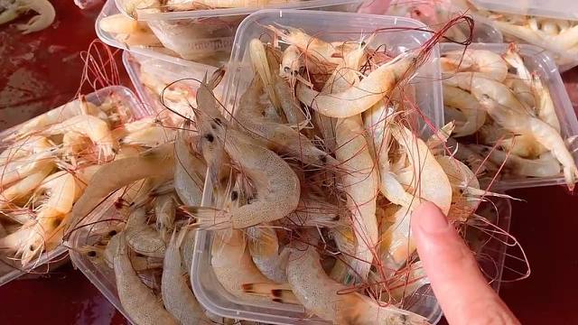 成千上万斤的羊毛虾,每次来货都是被一抢而空了