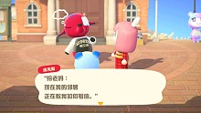 【动森】小动物日常之穗星在教庞克斯写信哩！庞克斯笨笨