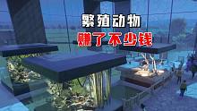 动物园之星6：给小动物建豪华房，繁殖出来的动物能卖不少钱