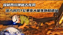 小伙爬入四川古龙洞，探秘诡异传说，为村子解开100年之谜！