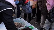 #大连旅顺小海海鲜  #渔民生活 货好不好自己看 自己品