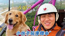 主人坐滑翔伞飞上天，金毛一脸担忧：铲屎的消失了？！