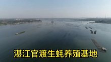 广东生蚝看湛江，湛江生蚝看官渡，鸟瞰湛江官渡石门生蚝养殖基地