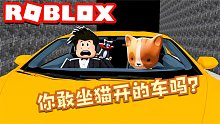 Roblox猫的旅行：帮一个小女孩找丢失的猫咪，没想到猫在开车！