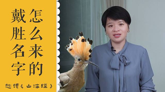 虽美但臭?博物君亲儿子戴胜为什么要叫戴胜?