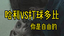 哈利遇多比，本期内容过于“自由”建议多看【哈利波特 魔法觉醒】