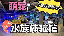 5500平！这家萌宠水族体验馆一定要来一次