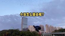 小丑怎么回去呢？#跑酷 #小丑