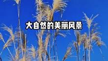 去拥抱陌生，期待惊喜，所有的不期而遇都在路上#大山深处自然美 #行走山水间 #芦苇荡美景 #小五台 