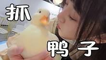 要和我一起去抓鸭子嘛？鸭店初体验！！