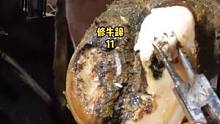 牛蹄上出现一个深洞，里面居然卡着一颗石子#修牛蹄 #治愈 #解压 #疼痛 