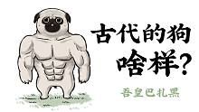 狗随时代变……【吾皇巴扎黑】
