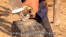 驴蹄朽烂出血露出空缝，老师傅精心为毛驴修理，坏蹄让人触目惊心 #修驴蹄 #强迫症 #动物救援
