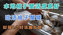 羊口朋友给老于一箱渤海梭子蟹，封箱4小时打开竟然还活，不得了