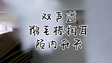 【助眠】双声道鹅毛棒掏耳｜舒适入眠