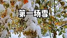 大雪从昨天晚上下起，悄无声息，不知不觉，今晨醒来一片白茫茫#户外 #身边的风景 #雪中美景 #登山 