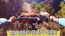 带着狗子翻山越岭回家吃饭！ #骑行旅行风景 #山地自行车 #拇指防抖相机GO2
