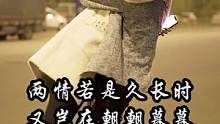 两情若是久长时 又岂在朝朝暮暮#婚姻家庭情感 #创作者服务中心 #异地恋