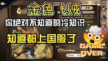 【哈利波特魔法觉醒】金色飞贼冷知识，知道的都已经上国服了！