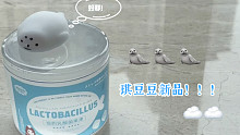 琪豆豆的新品—海豹乳酸菌果冻