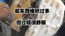 牛蹄内部发生了严重的溃烂，脏东西堆积过多，但清理过程很舒服！ #解压  #清理牛蹄  #牛蹄  