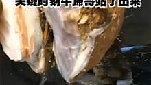 牛蹄上长了麒麟纹，但腐烂的很严重，看咱们修理师傅如何清理！ #解压  #清理牛蹄  #牛蹄 