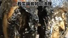 牛蹄严重溃烂，内部腐蚀严重，看修理师傅如何清理。 #解压  #清理牛蹄  #牛蹄 