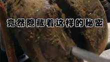 看似平平无奇的牛蹄，反而不平凡，让清理师傅猝不及防！ #解压  #清理牛蹄  #牛蹄 