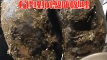牛蹄形状不规整，内部溃烂严重，看修理师傅如何处理 #修牛蹄  #动物救助  #解压视频  #修蹄  