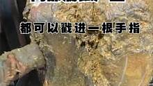 这样的牛蹄你有见过吗？腐蚀的竟然可以戳进一根手指！！！ #解压  #清理牛蹄  #牛蹄 