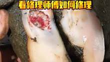 牛蹄内部腐烂严重，浓水不断往外渗出，看修理师傅如何修理 #修牛蹄  #动物救助 #解压视频  #修蹄