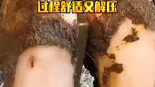 牛蹄表面出现小洞，修理师傅刮开发现问题，过程舒适又解压 #修牛蹄  #动物救助 #解压视频 #修蹄 
