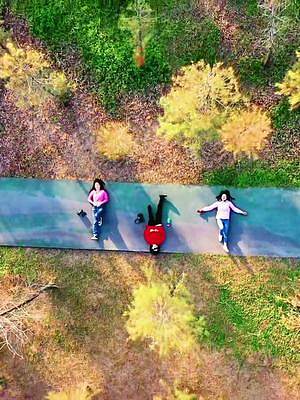 再过一个月，广州的这片落羽杉将迎来最美的时刻。#落羽杉 #天河湿地公园 #广州落羽杉 #大观湿地公园