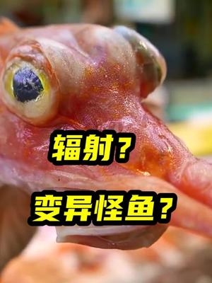 日本福岛核辐射鱼图片