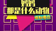 #一念逍遥 海绵宝宝经典语录之一 #海绵宝宝 #当修仙者被嘲讽