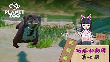 【Rita ZOO 亚洲站 第七期】动物园之星 巨獭之家 建造