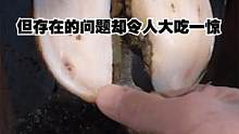 牛蹄表面看上去洁白无瑕，但其中存在的问题却非常的棘手！ #解压  #清理牛蹄  #纪录片 