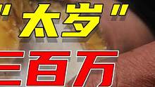 大叔捡到“太岁”卖三百万，6年过去，如今怎么样了？