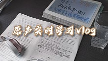 禾仔的原声实时学习vlog|自习室|期末要努力，兄弟萌山顶见！|study with me|SA
