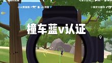 撞车蓝v