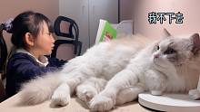 看孩子写作业这个事还是交给猫吧