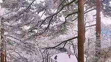 这个季节的黄山是非常值得来的～快去约上你的小伙伴吧❤️#黄山雪景雾凇 
