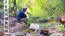 升级拦河捕鱼陷阱，鱼类食物轻轻松松拿捏