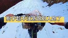 狗子趁我不注意就跟路人跑了！ #骑行川藏线 #山地自行车 #骑行旅行风景